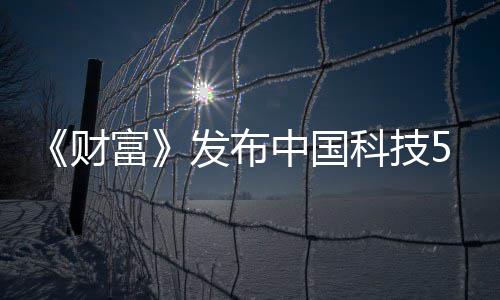 k入华为选 小米中国强缺席科技财富发布